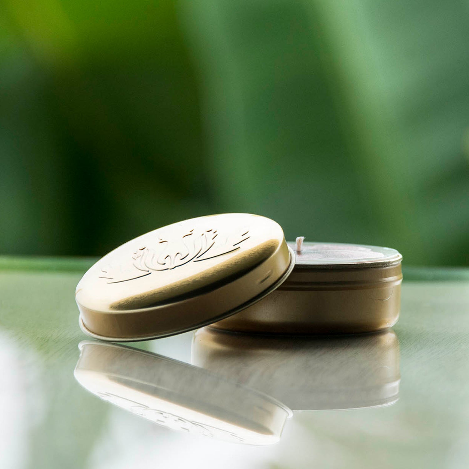 ソイキャンドル トラベル Plumeria – Malie Organics