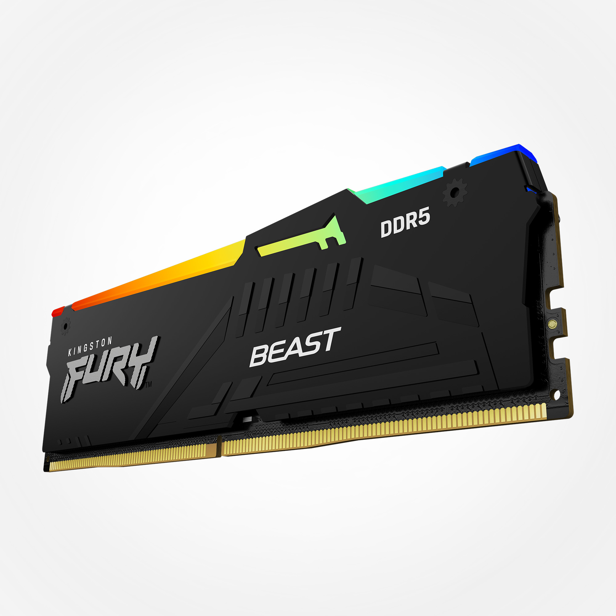 Kingston FURY Beast RGB 16GB DDR5 Dual Channel Desktop Memory DIMM