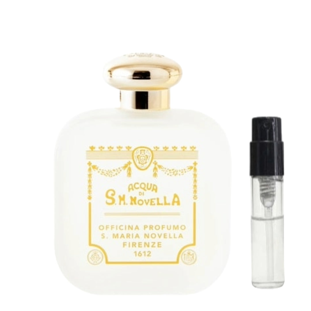 Santa Maria Novella アクアデッラレジーナ – 香水量り売り専門店