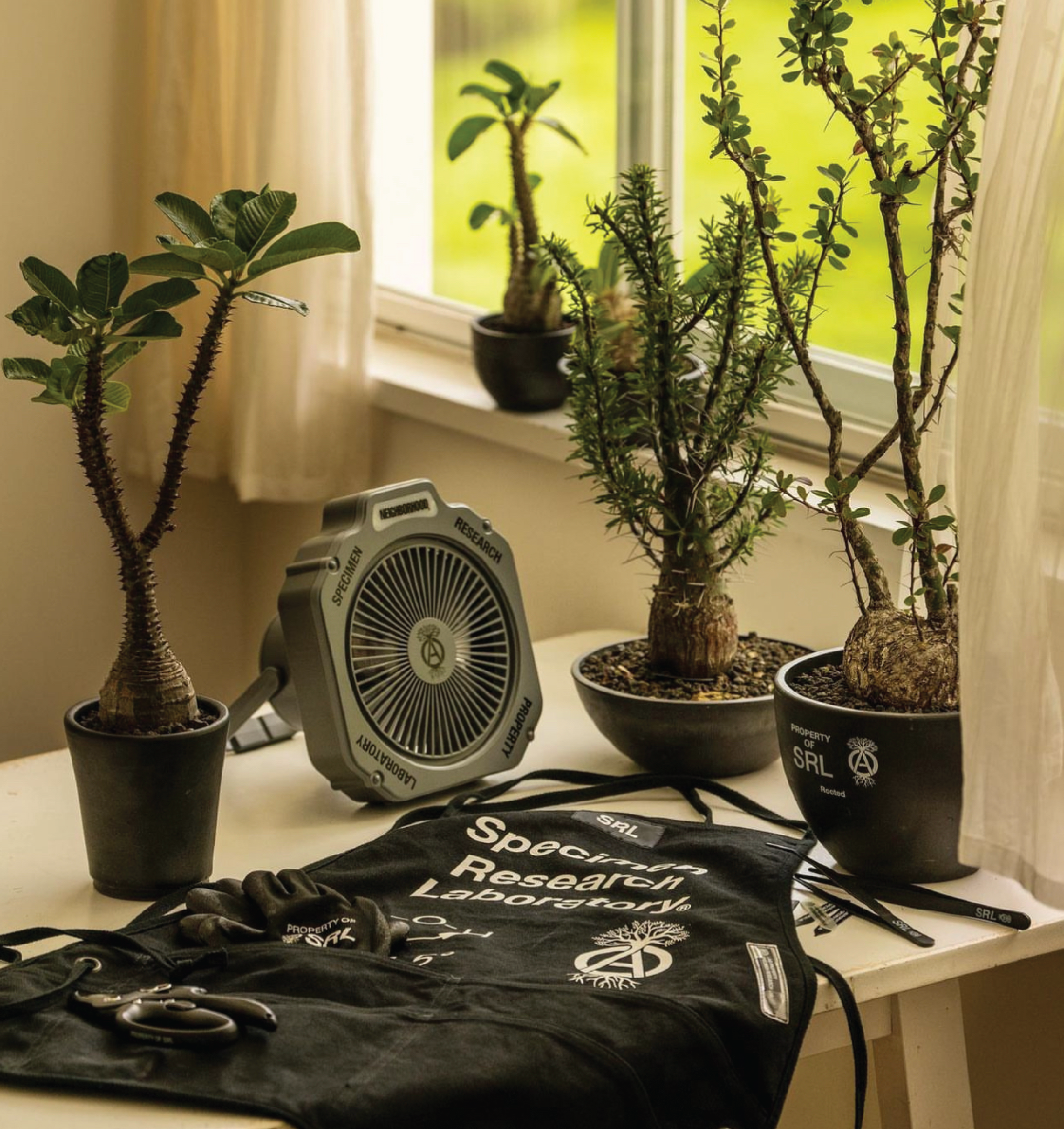 SRL.png?v=1693501329