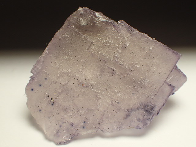 蛍石 / Fluorite / エルムウッドフローライト