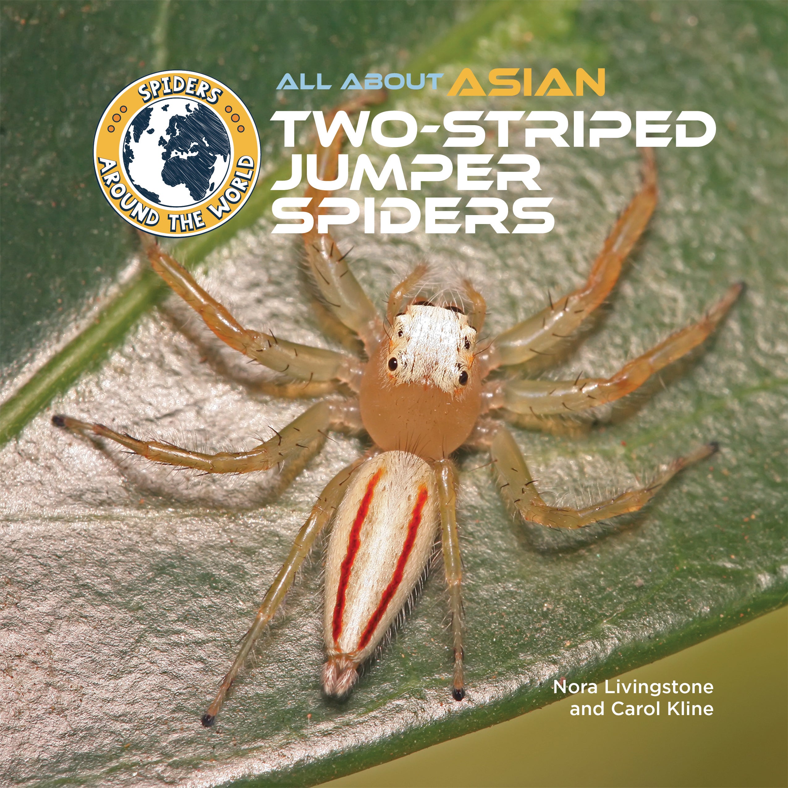 All About Asian Two-Striped Jumper Spiders - Mitchell Lane Publishers
