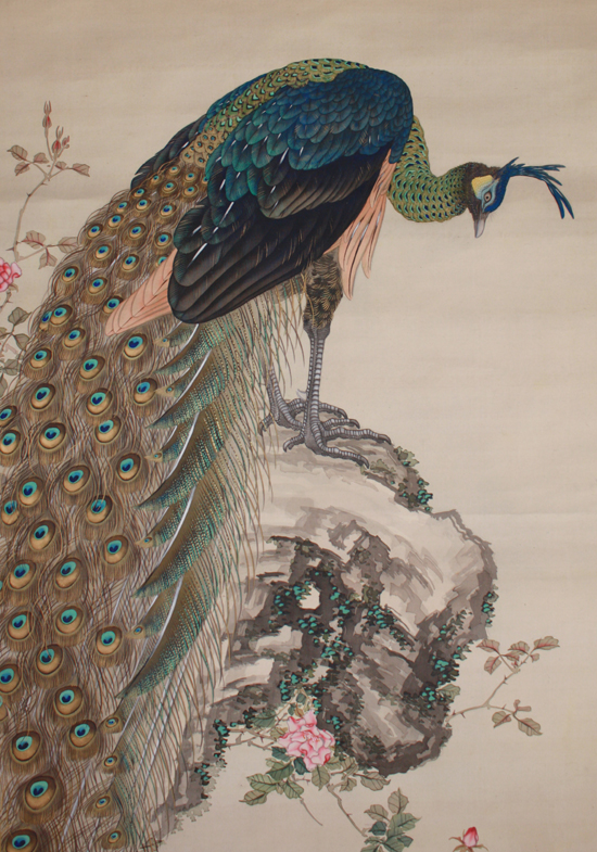 水谷芳年 Honen Mizutani 『長春孔雀図』【掛軸 Hanging scroll