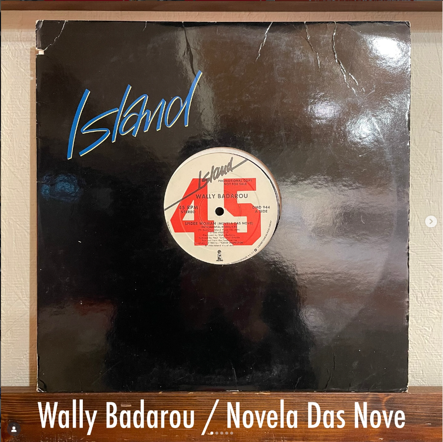 Wally Badarou / Novela Das Nove - 異国の風と幻影が交錯する…静かに