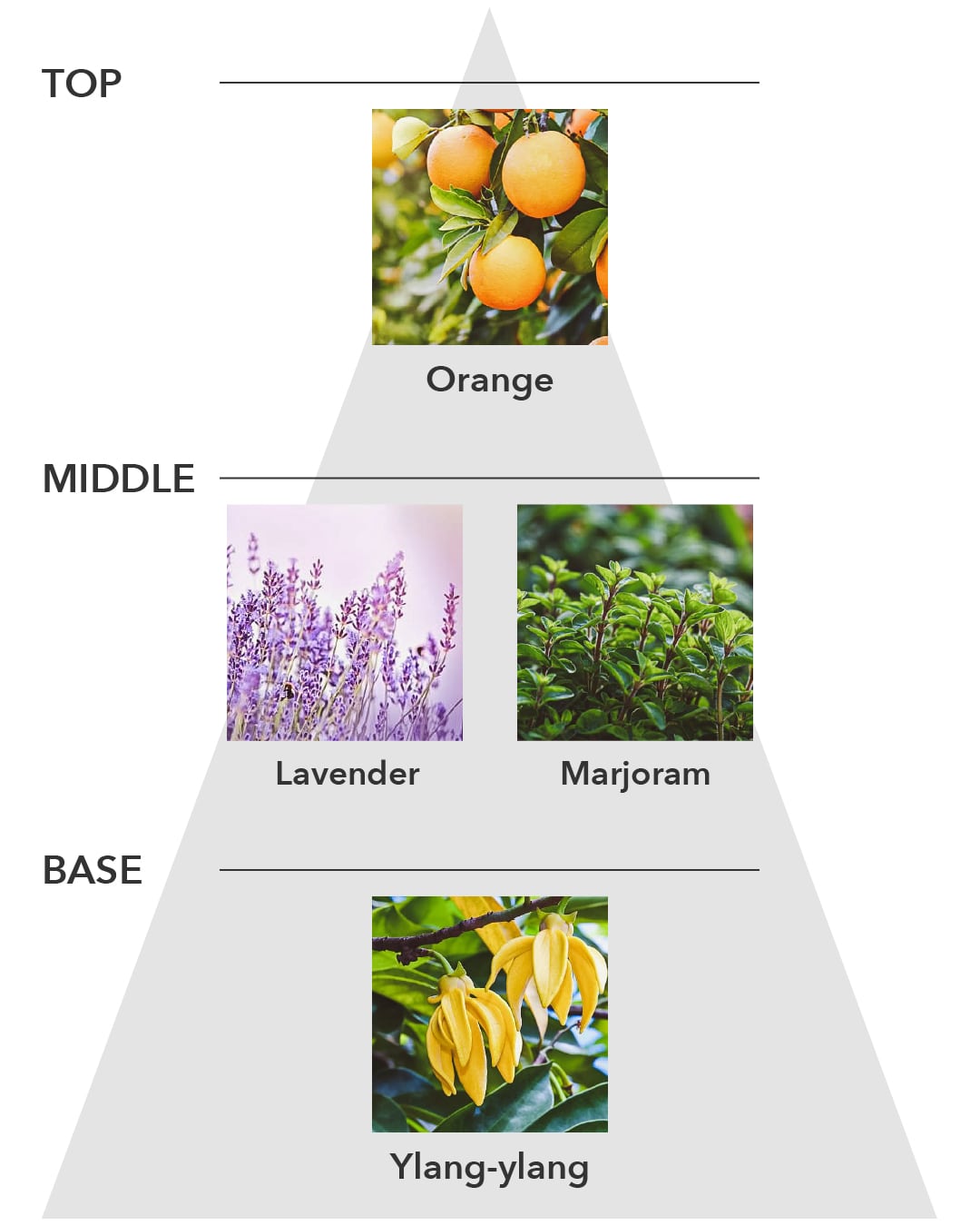オーク フェムケアオイル 002 ハーモニー（イランイラン） – Oak