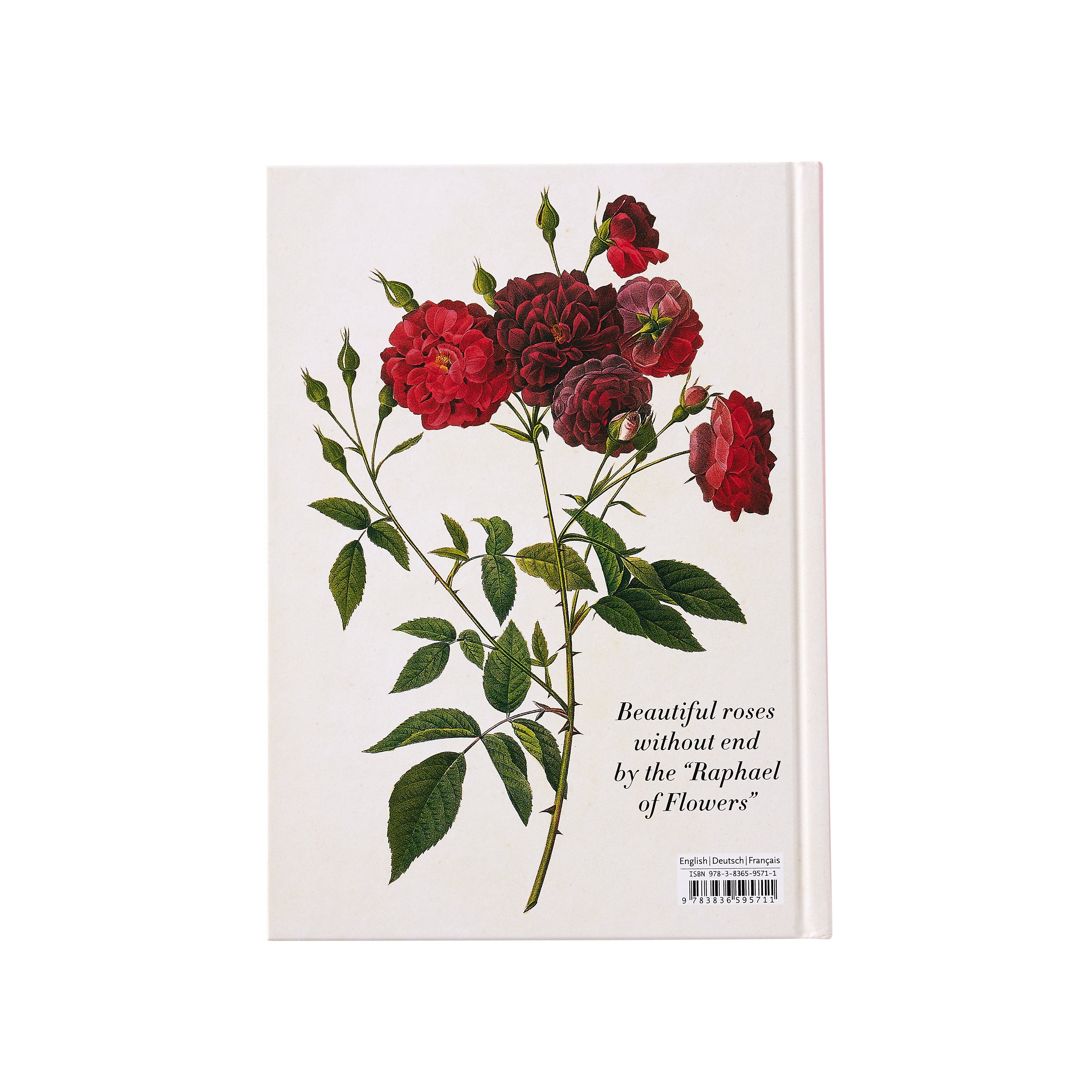 Redoute: Roses | Caitlin Wilson