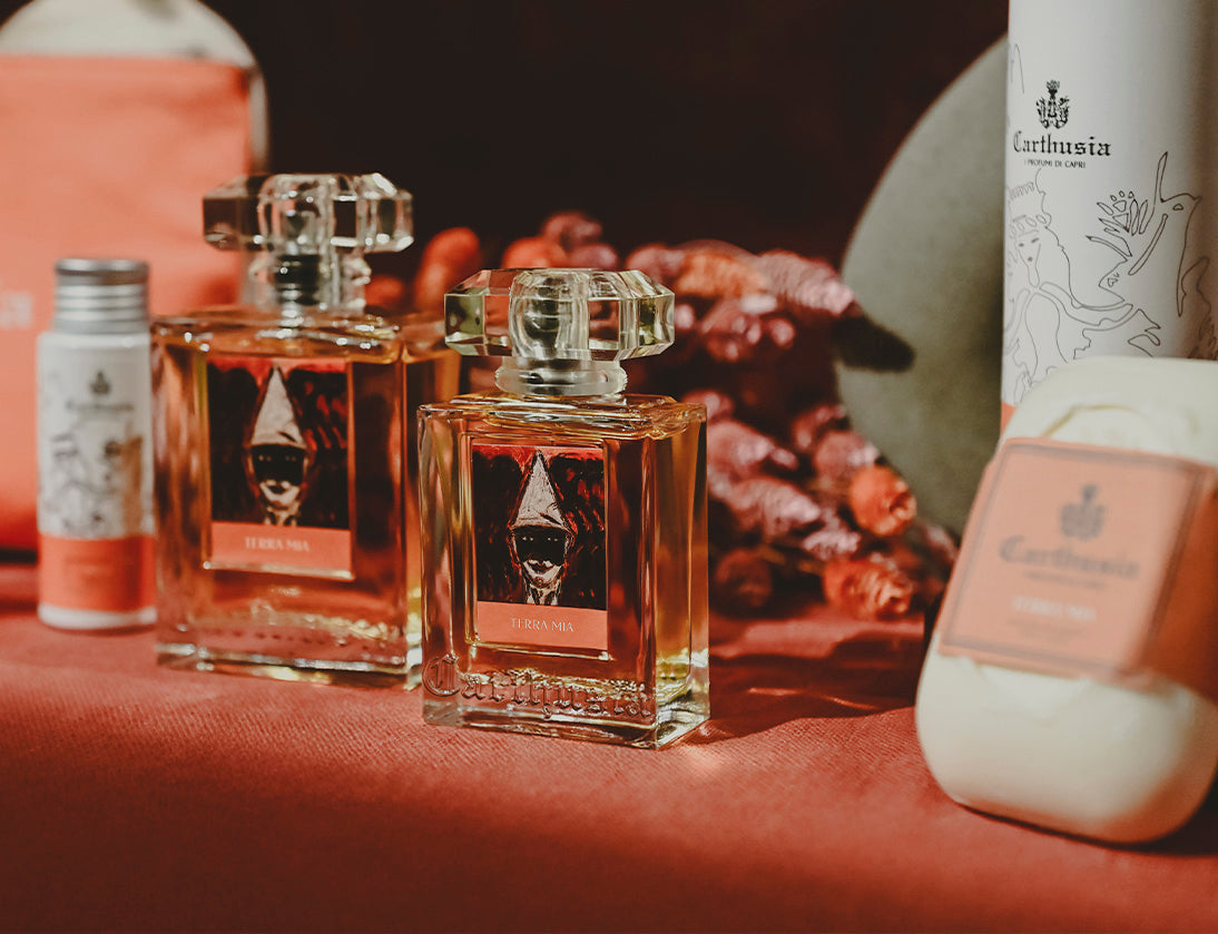 カルトゥージア★テッラミア 楽天市場】【先着限定☆最大1200円OFFクーポン（3/4 20:00