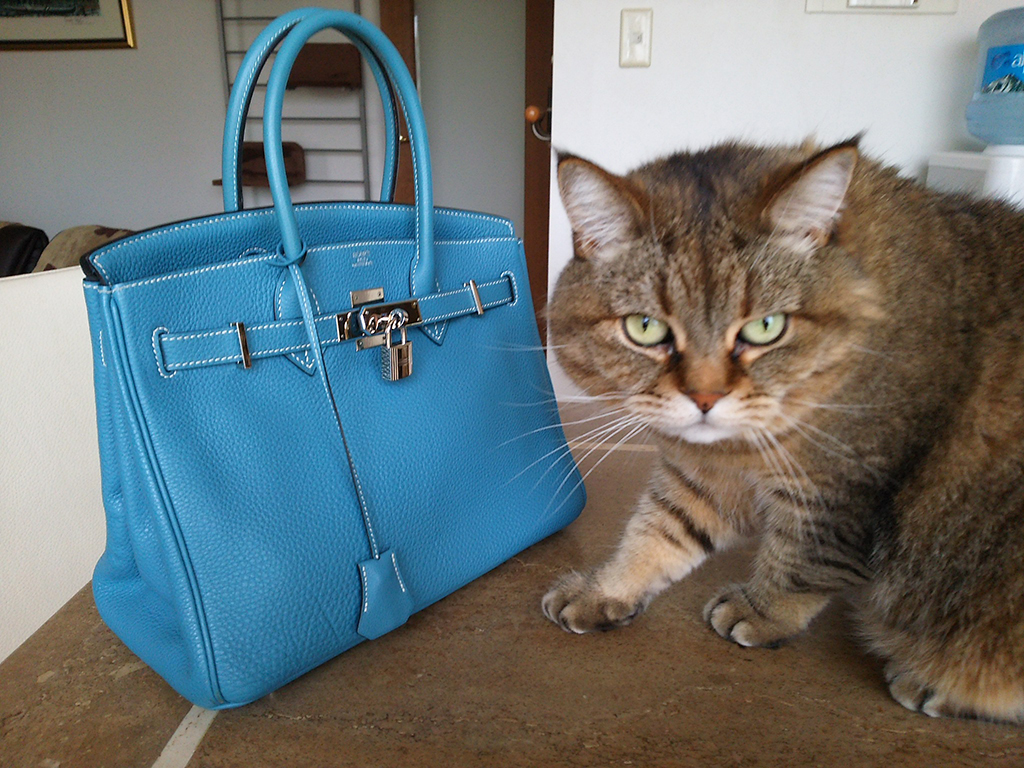 エコバッグをエルメスのレインカバーに使う - 歳を隠すのをやめました