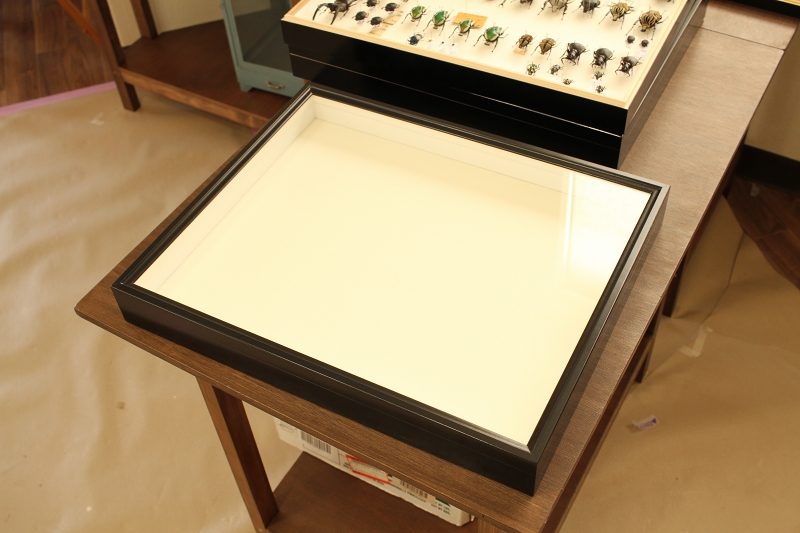 ドイツ箱のこと - うみねこ博物堂