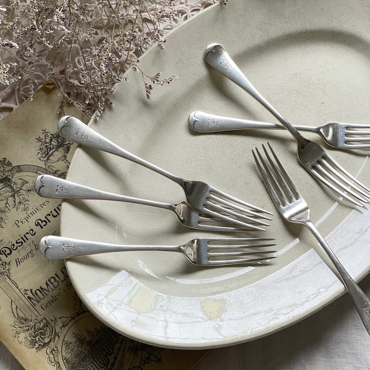 IMG_8081_df82502b-c2c3-410e-