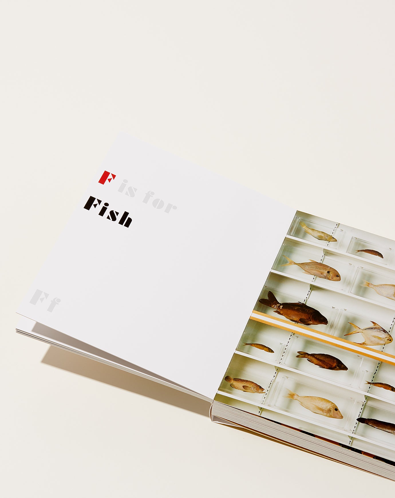 Damien Hirst: ABC Book | Artbook | Covet + Lou | Covet + Lou