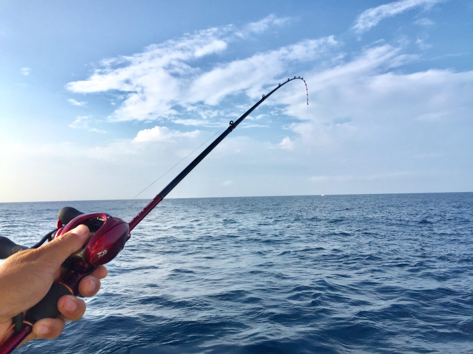 愛知の夏カワハギはN-SFで楽釣～♪ | 鈴木泰成