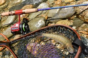 ネイティブスタッフ西村：3ピースパックロッド『アルティメイト