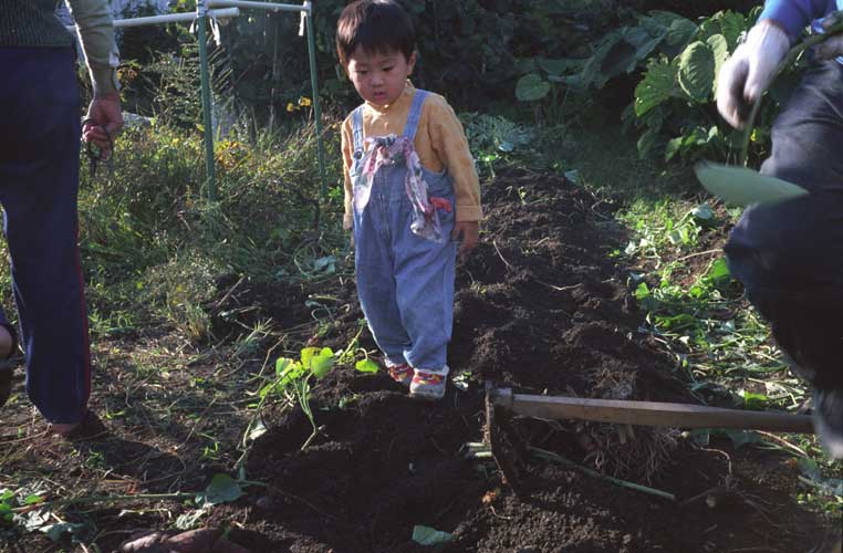 リコー：ハイカラー35作例