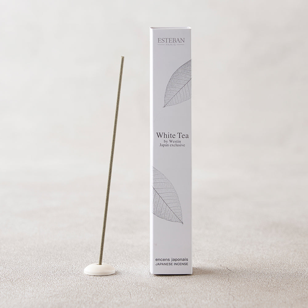4月下旬入荷予定】White Tea by Westin スティック40本入 – ESTEBAN