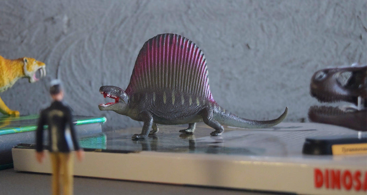 背中に帆を持つペルム紀の大型肉食動物 — ディメトロドン —