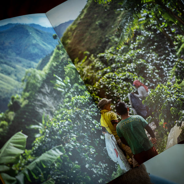 写真集 [Beber Mi Sudor] by Jake Green - FUGLEN COFFEE ROASTERS TOKYO