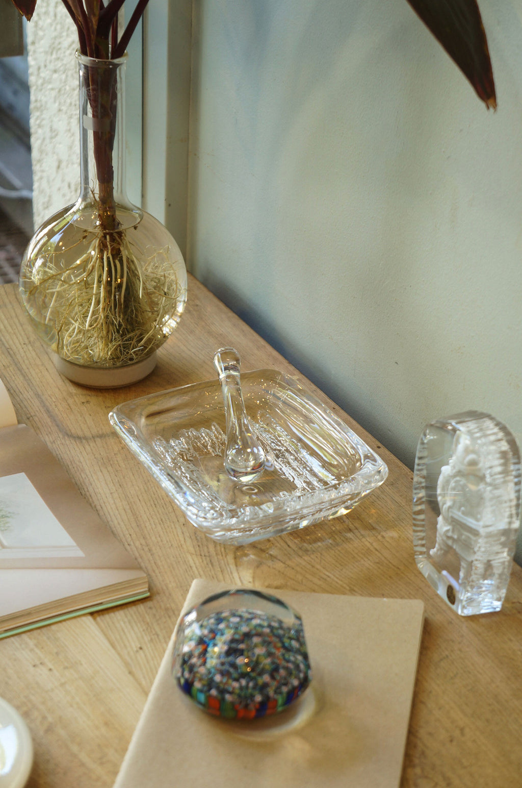 2DSC00289_1024x.jpg?v=1619350772