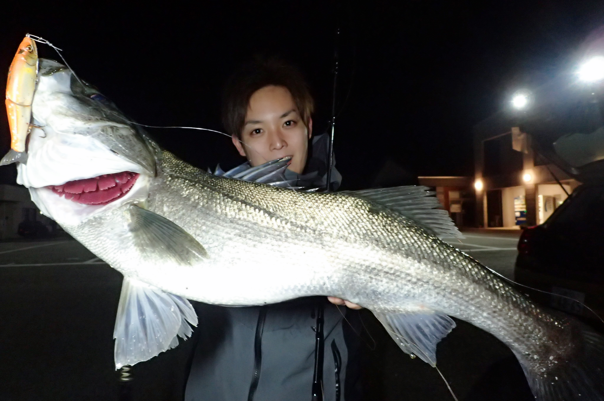 Beams CRAWLA 8.3L+で超ゴンブトのランカーシーバス！ - Fishman