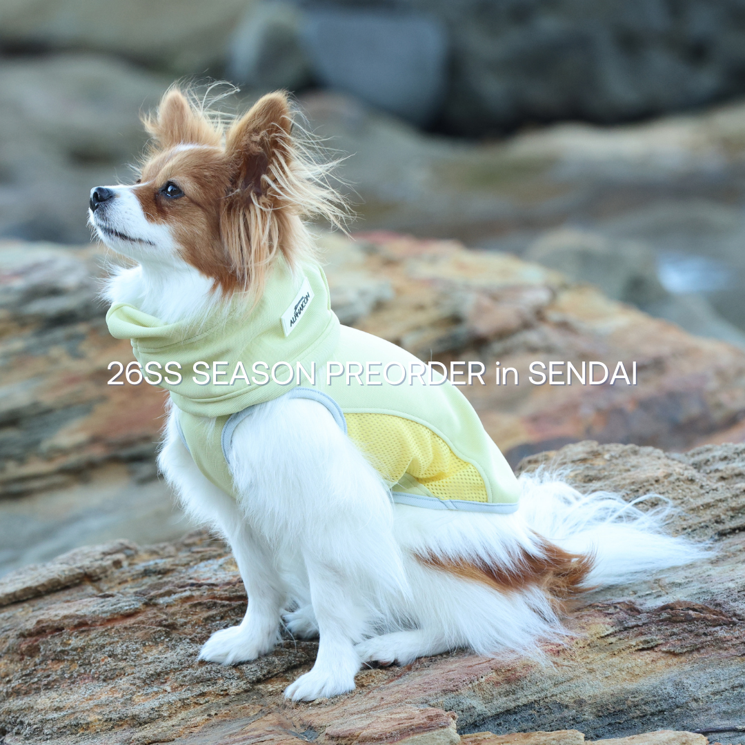 ALPHAICON 26SS SEASON PREORDER in SENDAI