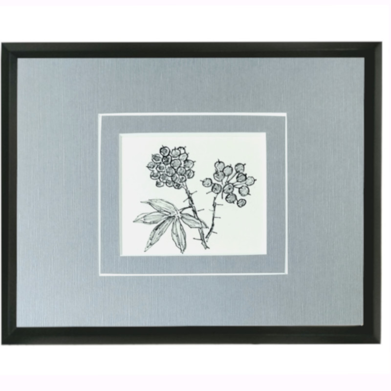 ☆坂本直行☆「ハンノキの実」ペン画 径145mm円 ☆坂本直行