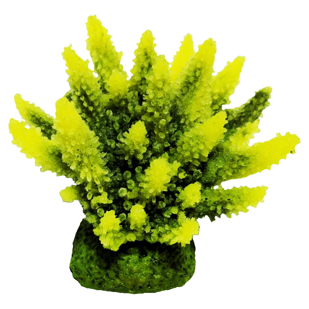 装飾珊瑚 彩り豊かでリアルな飾り珊瑚 - 株式会社スプリング