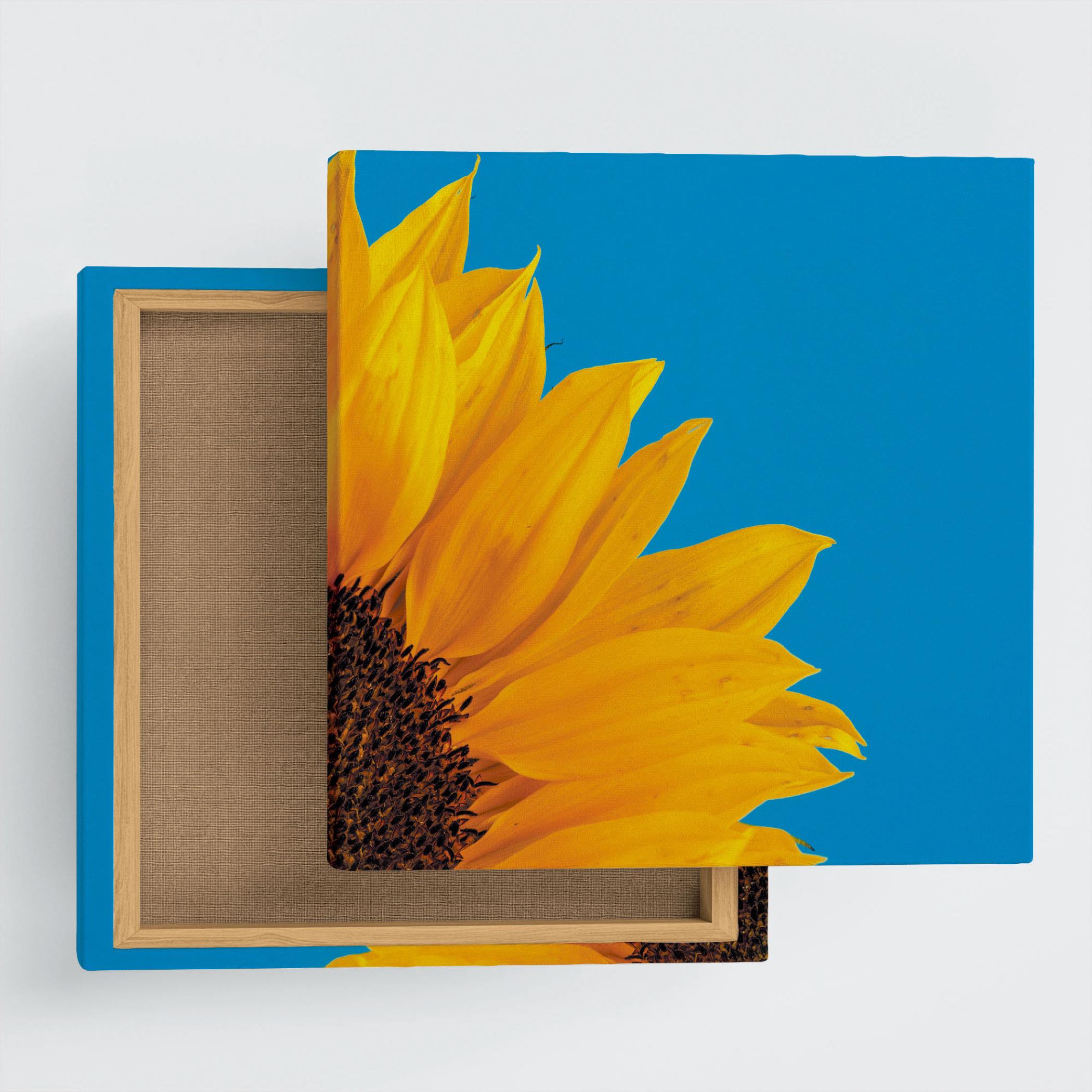 phot-2205-07.jpg?crop=center&