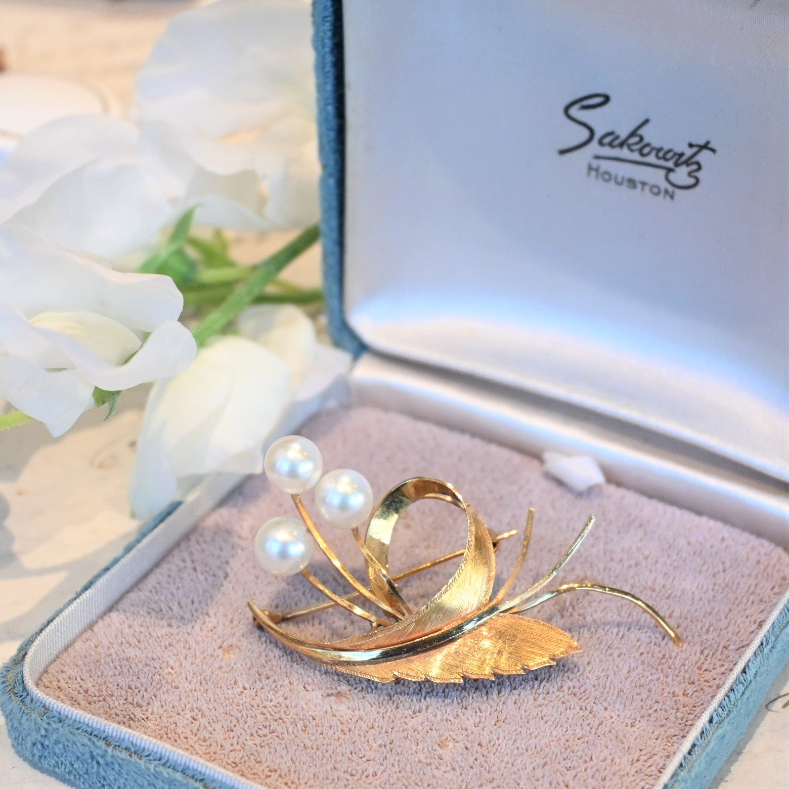 DSC_0386.jpg?v=1673057566