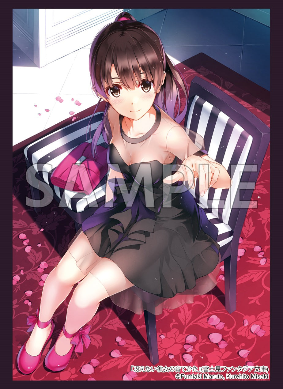 運命に導かれた坂道 sp 加藤恵 冴えない彼女の育てかた 【公式通販】