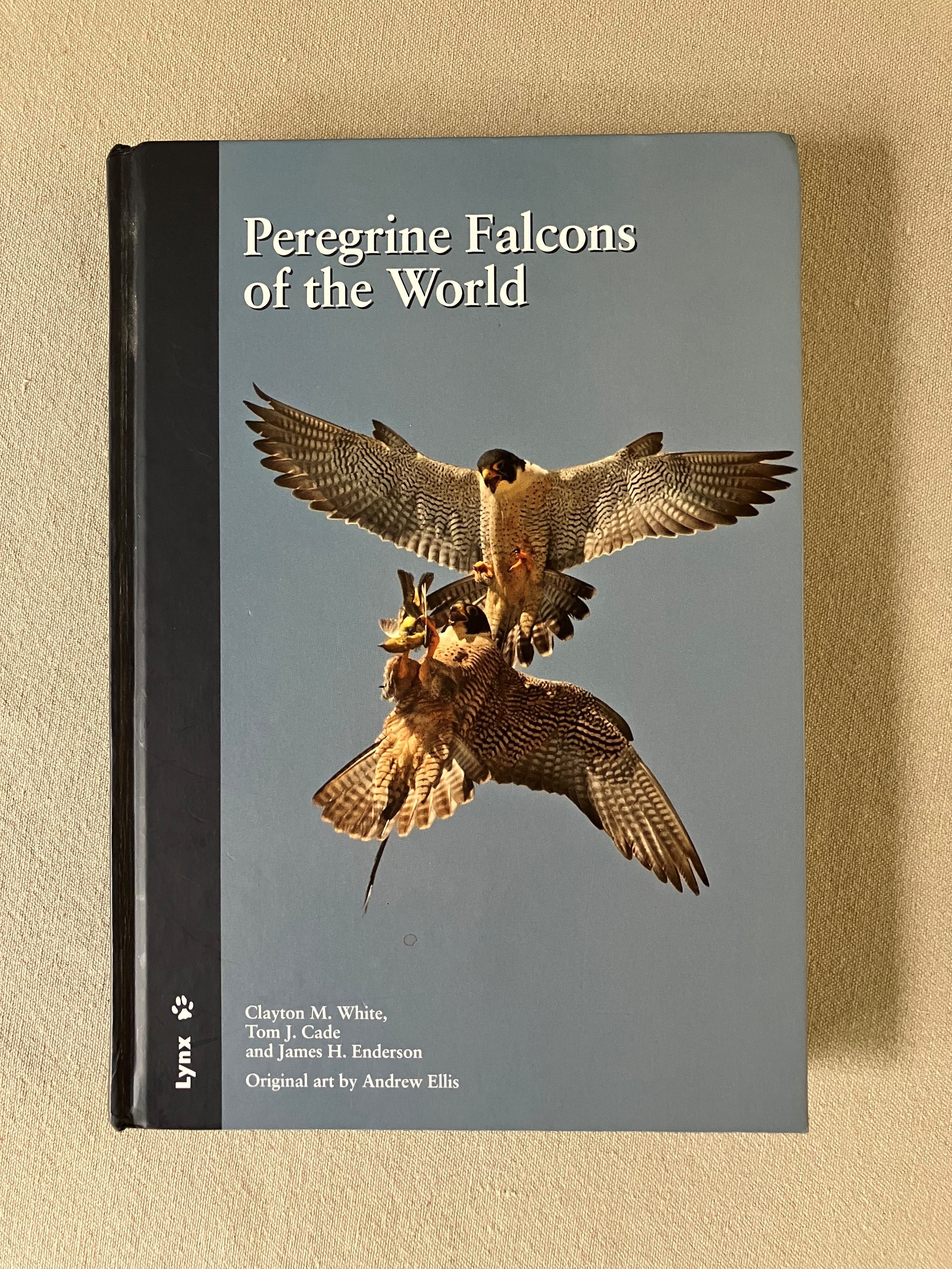 Peregrine Falcons of the World – Buteo Books
