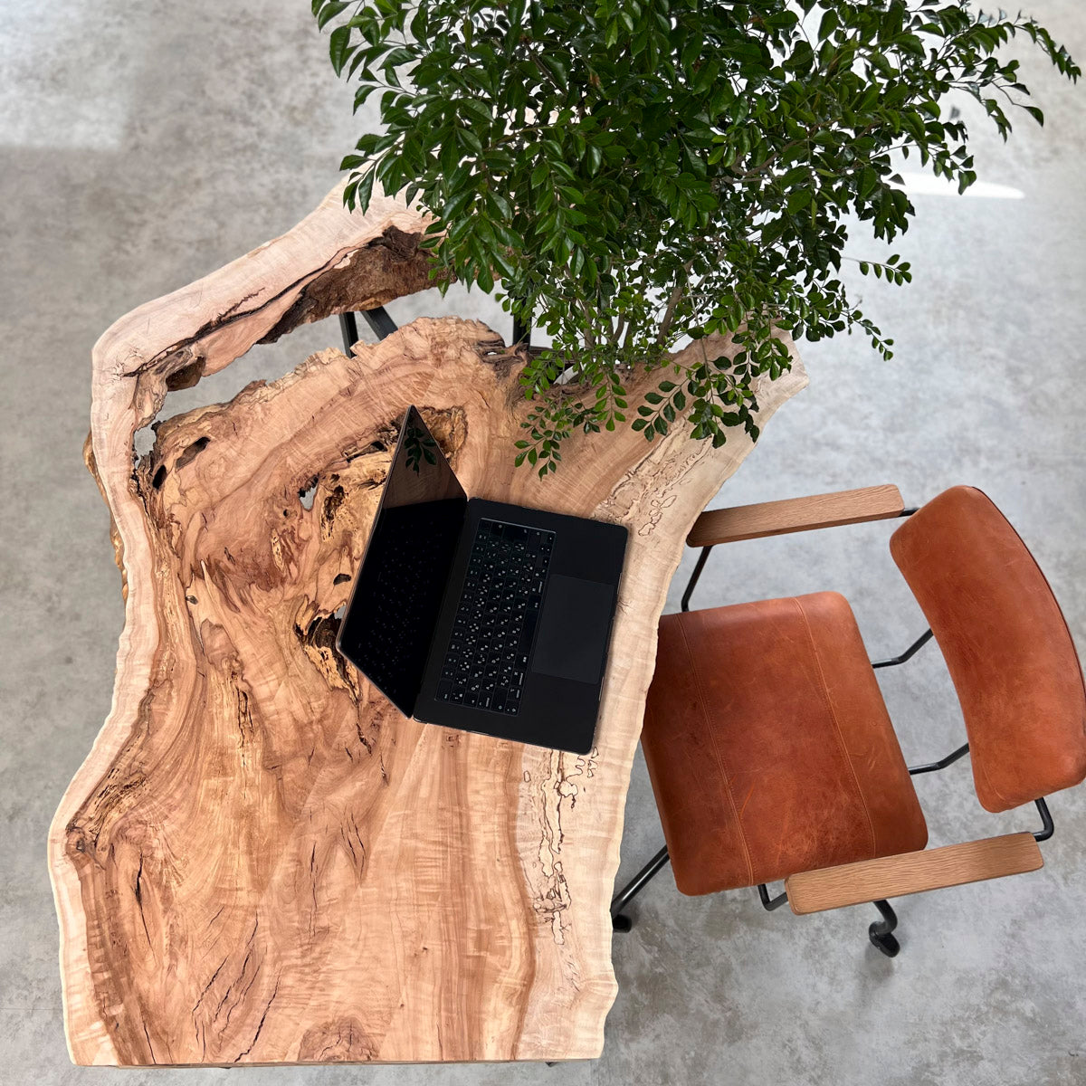 セール15%オフ】無垢一枚板 栃《T925-2》W1565/未仕上げ品 | オーダー