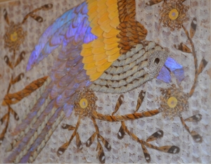 空飛ぶ宝石「モルフォチョウ」 | 自由に たおやかに