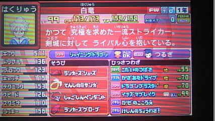 イナズマイレブンgo ギャラクシー 育成論 | 木陰の岩の眠り猫