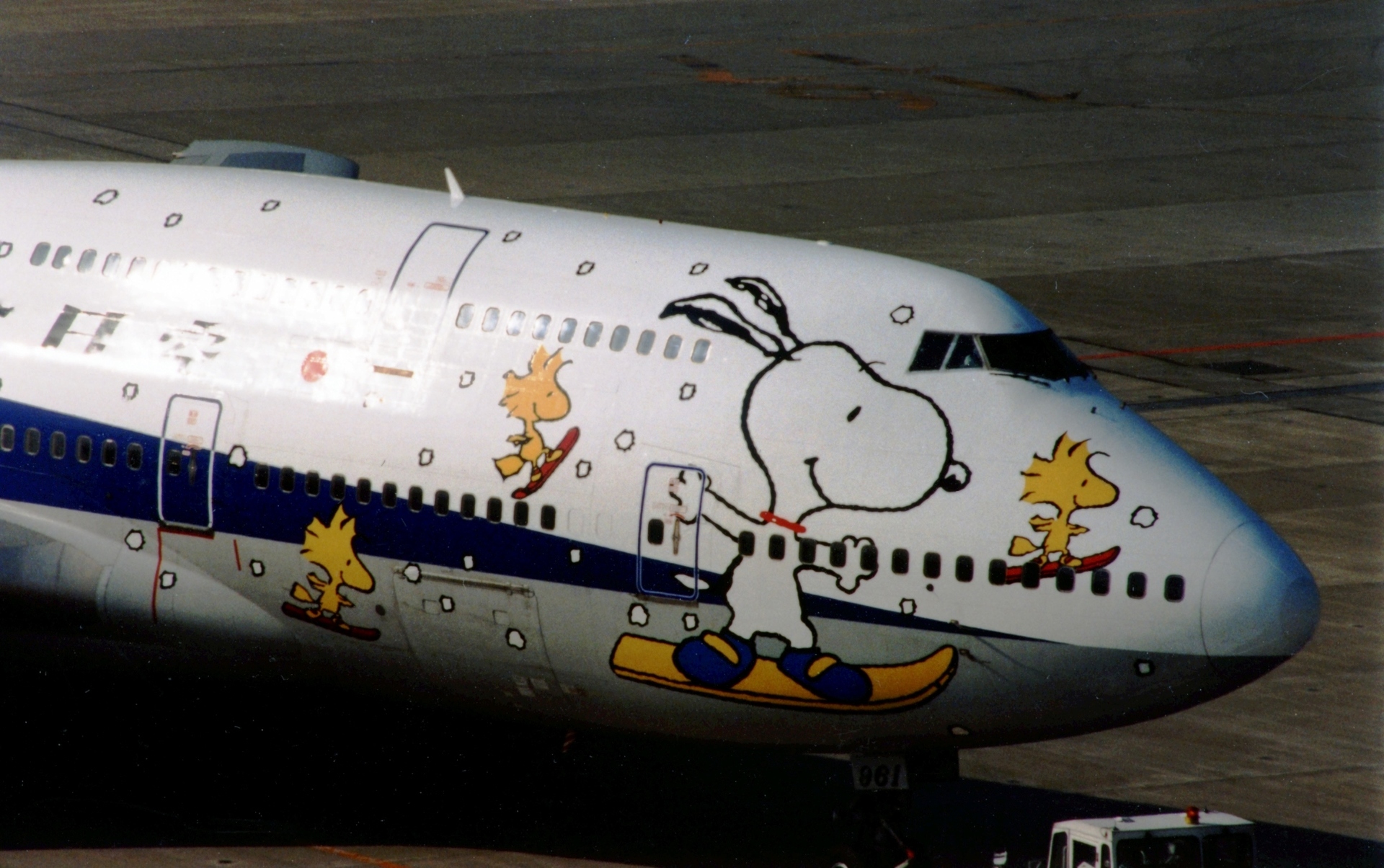 懐かしい!!・・スヌーピーを纏ったテクノジャンボ（JA8961