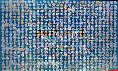 オメガルビー(ORAS)図鑑完成特典アイテム・賞状まとめ(時をかけた証含む)