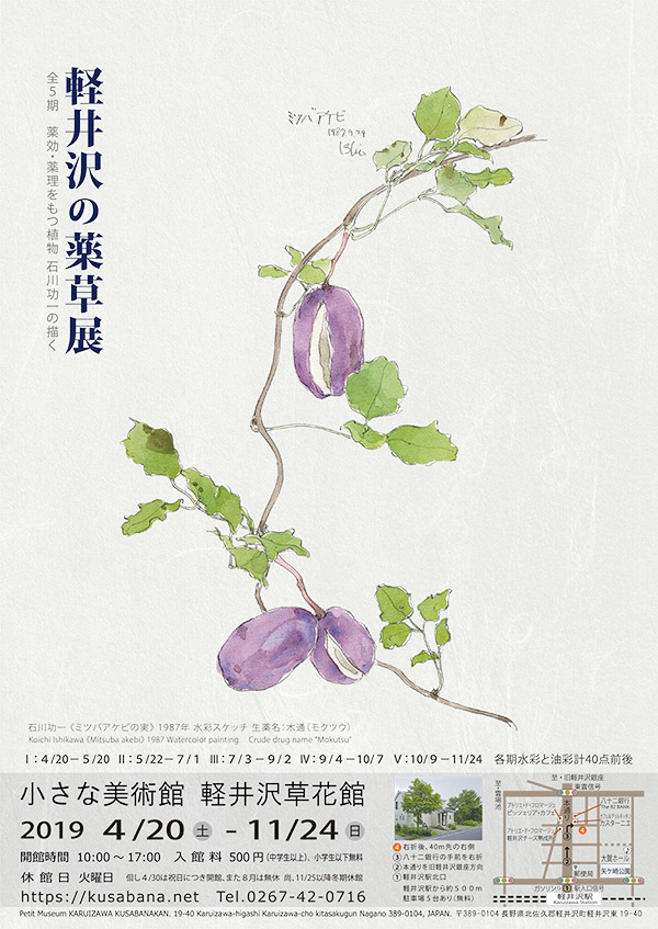 軽井沢の薬草展】ゲンノショウコ: 軽井沢草花館 ゆうすげ日記