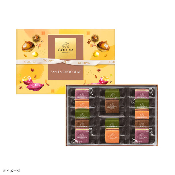 main01_-_2024-11-13T171029.707