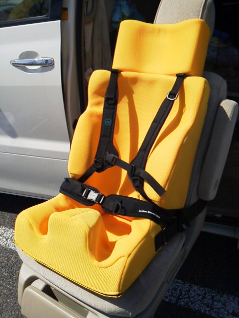 車載用 座位保持いす もはや定番！？: 姿勢保持にゃ毎日