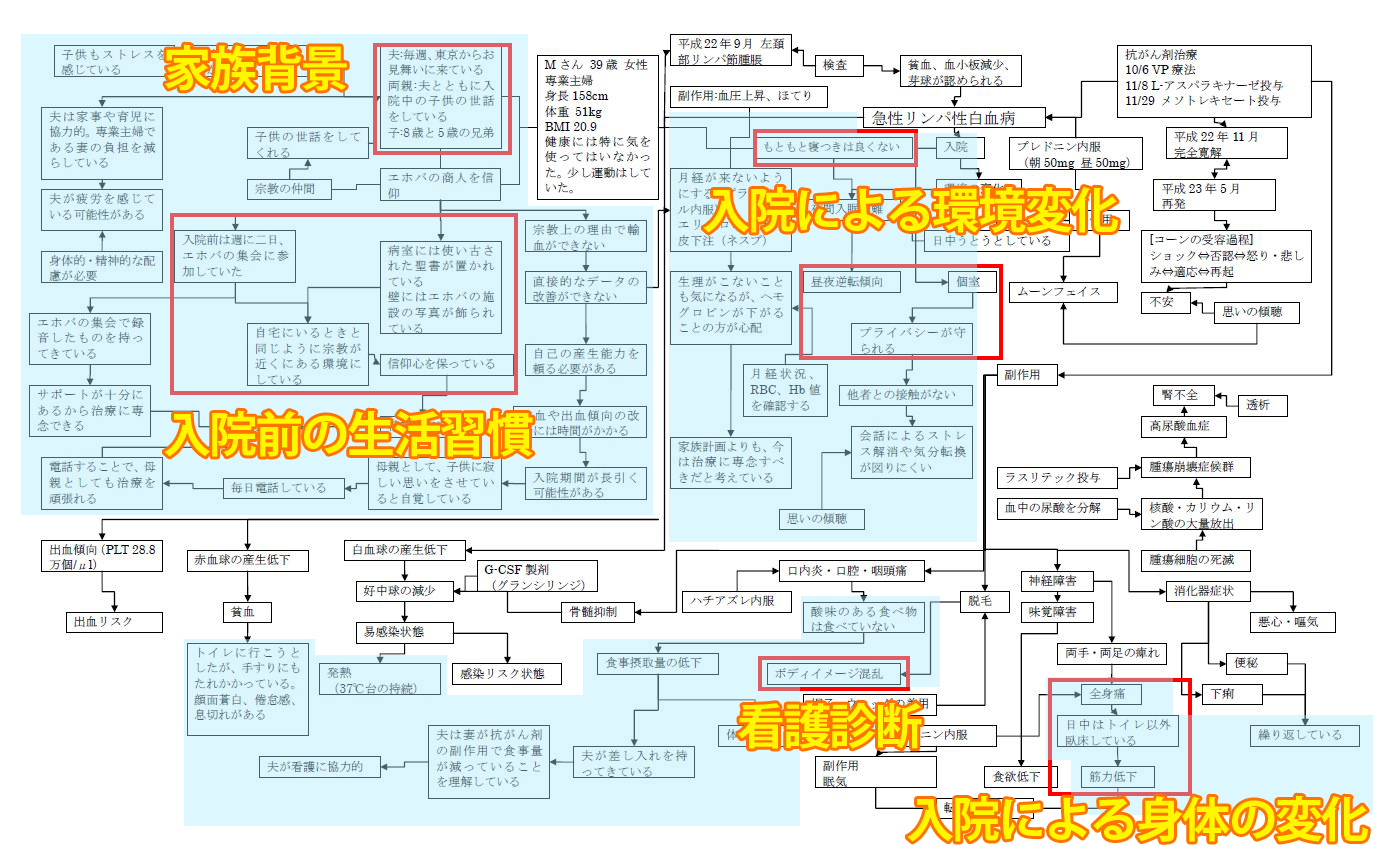 全体関連図の書き方！実習対策 | 根拠がわかる看護義塾