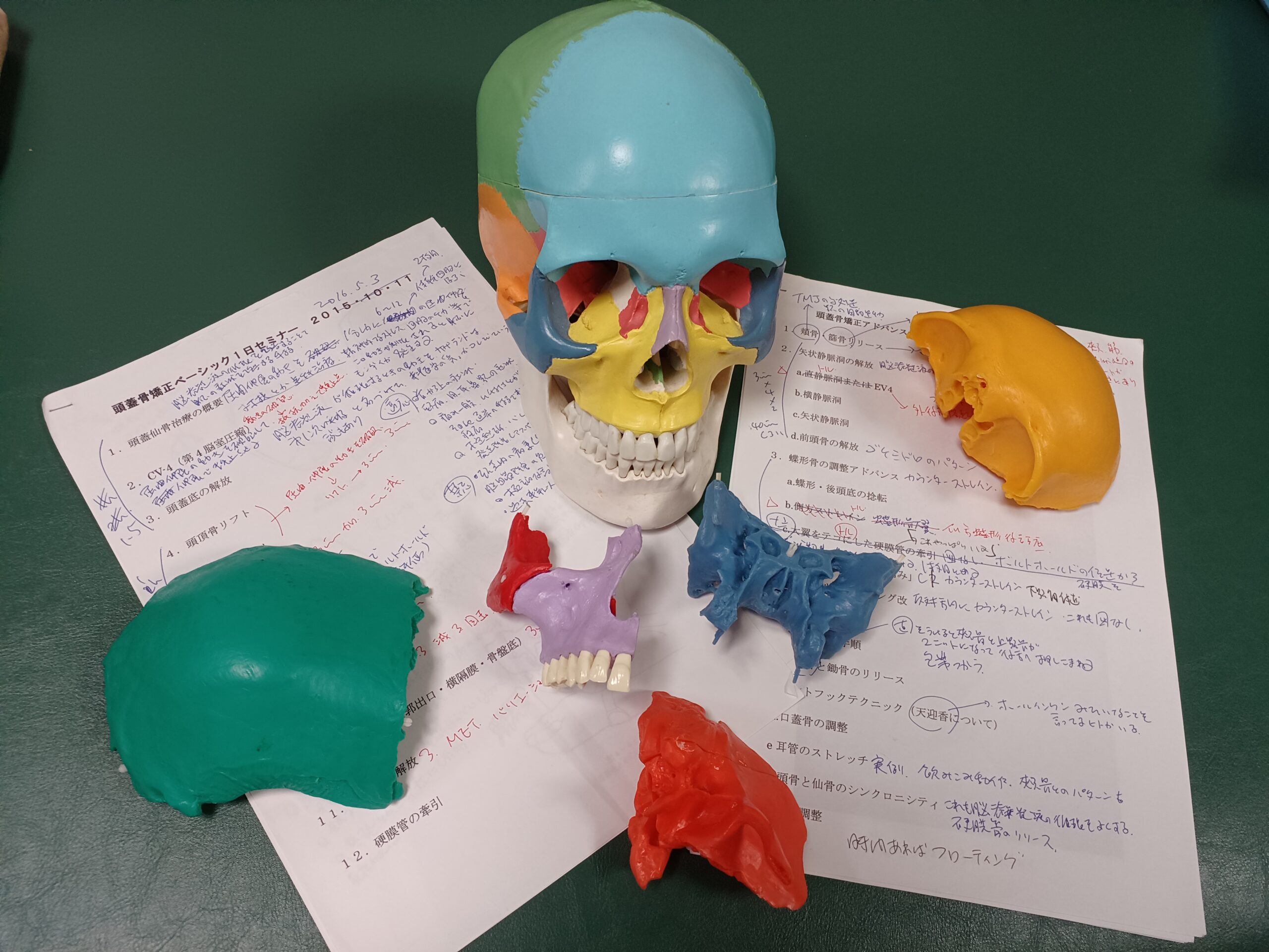 クラニオセイクラルセラピー入門講座 |