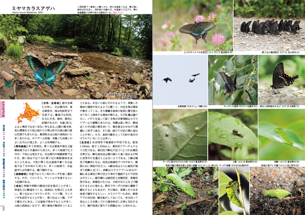 完本 北海道蝶類図鑑