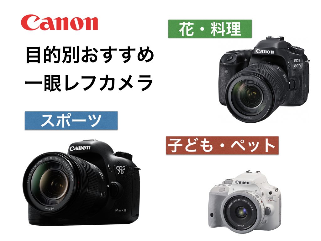 目的・予算別おすすめデジタル一眼レフカメラとレンズ紹介（キヤノン