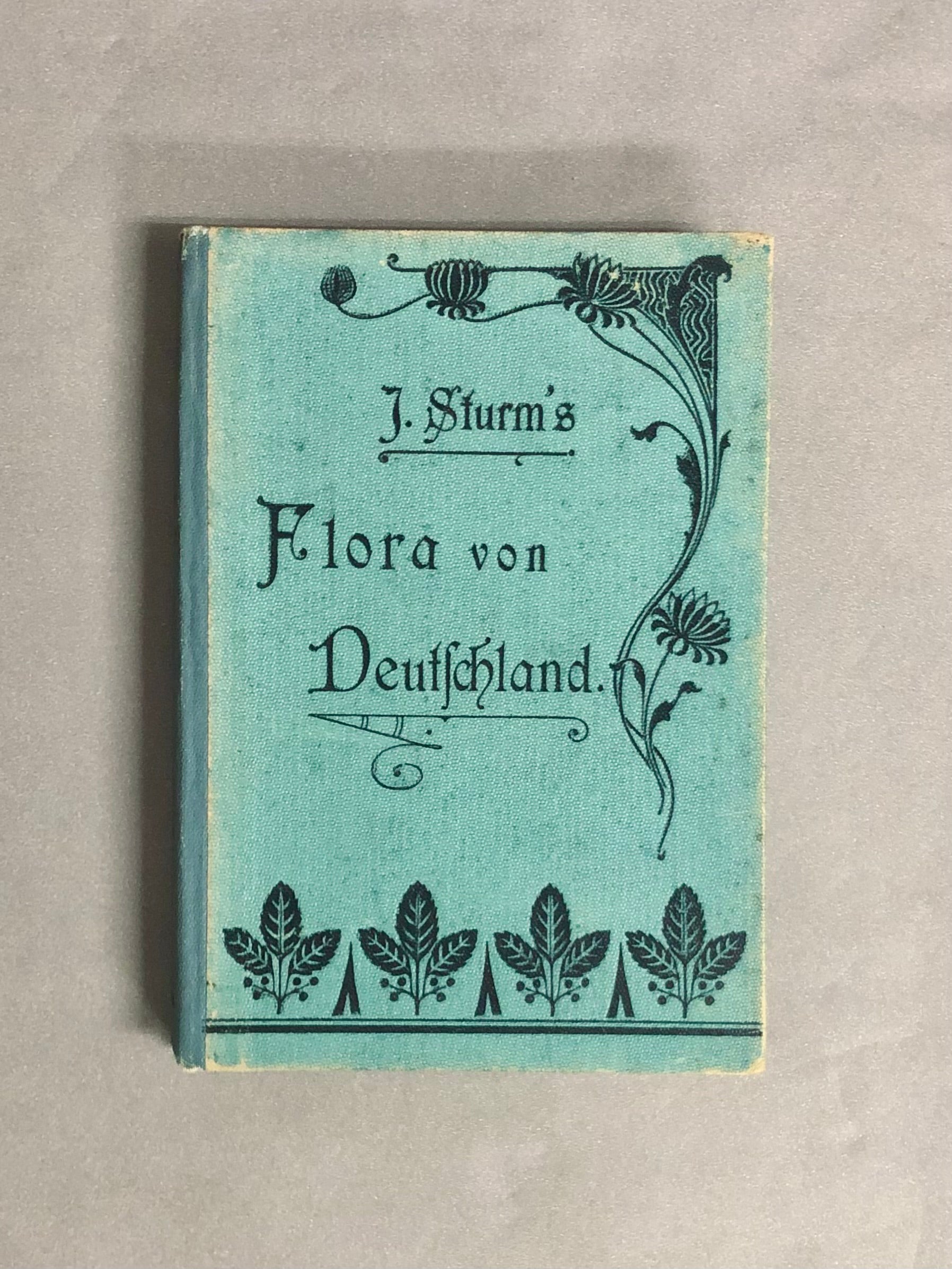 J.Strum s Flora von Deutchland ドイツのポケット植物図鑑 洋書 【林
