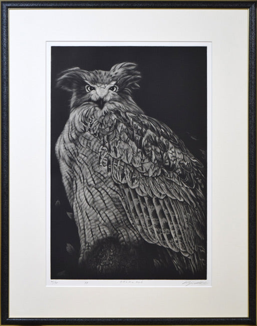 生田宏司「コタンコルカムイ(シマフクロウ)」メゾチント（銅版画