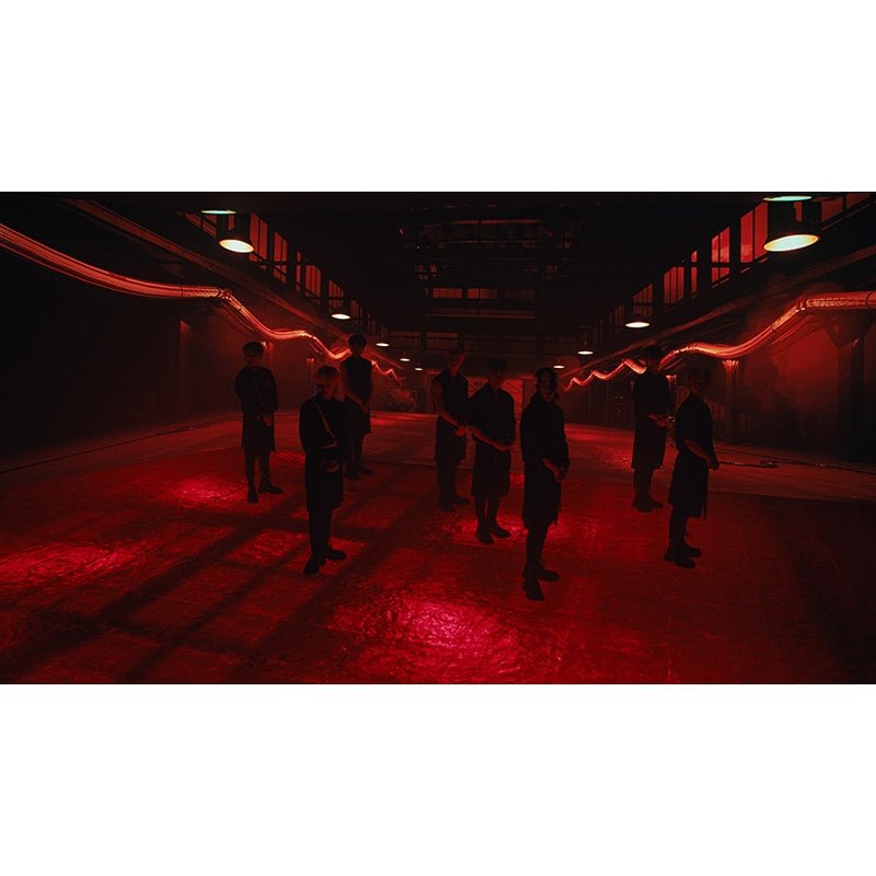 D'FESTA THE MOVIE : STRAY KIDS ( DVD / BLU-RAY ) – K-STAR