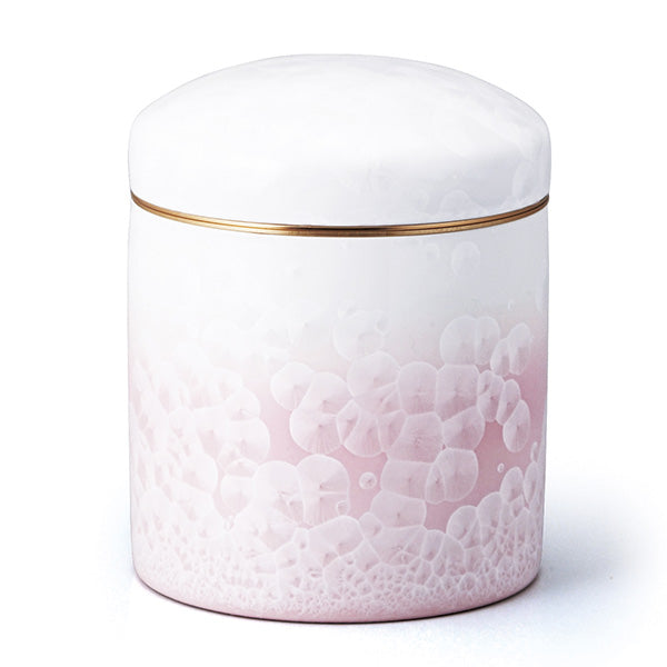 壷と花 壷と花 壷と花 壷と花 壷と花 Amazon.co.jp: ZX