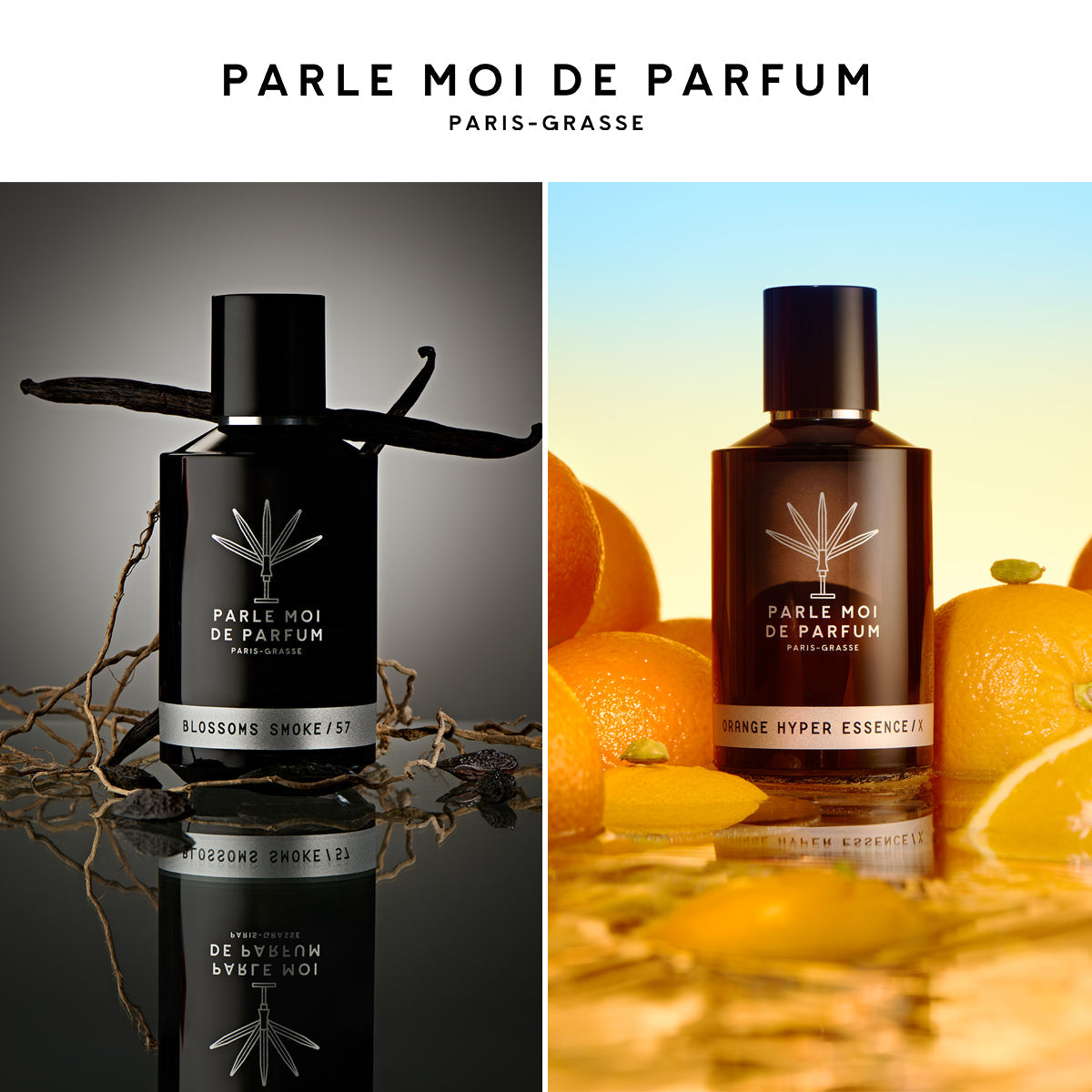 1745283758_PMDP-BSOH-KV-