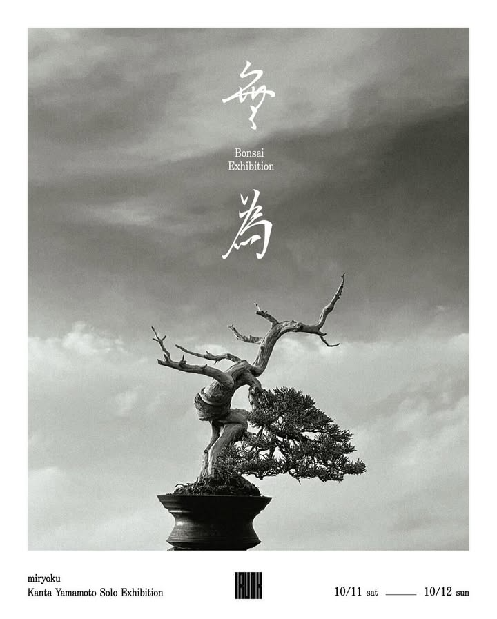 山本寛太が盆栽展示「無為」2025を10月11日から開催、自然に従うことを