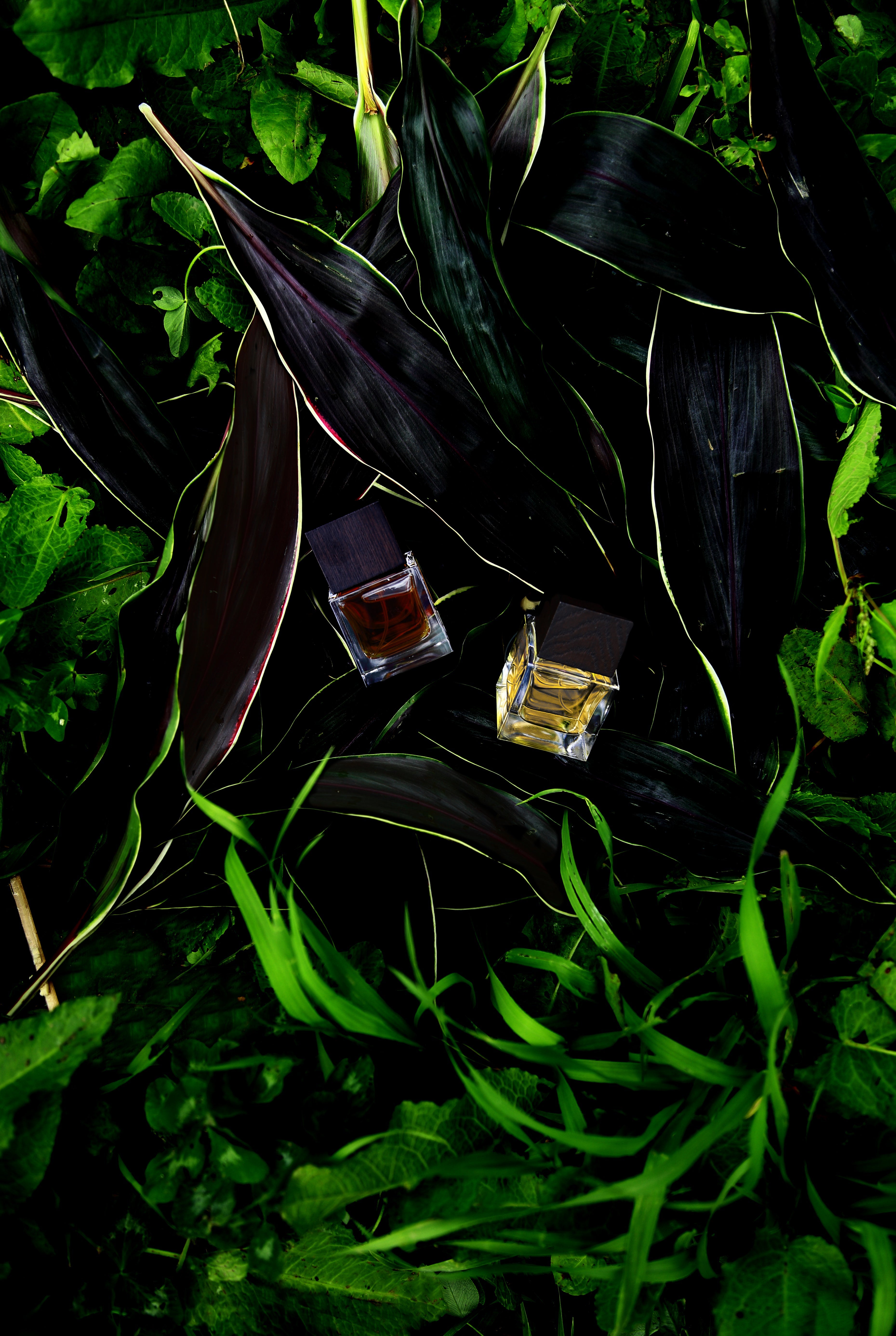 DI SER – LE SILLAGE FRAGRANCE SHOP KYOTO