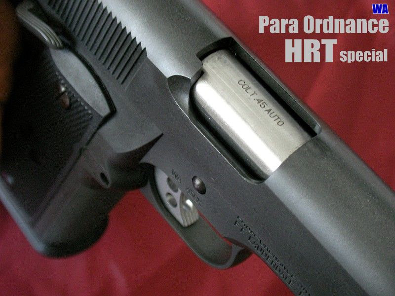 パラオーディナンス アーカイブ - GUN道場レビュー